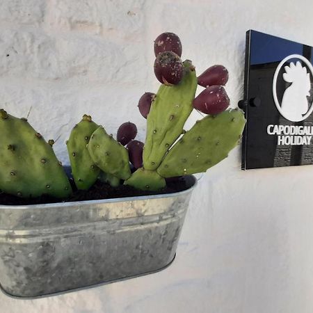 Capodigallo Holiday Trullo Monte Santo ألبيروبيللو المظهر الخارجي الصورة